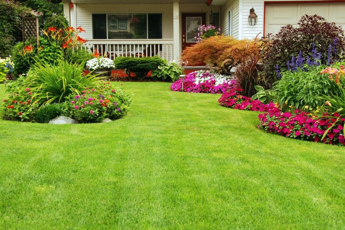 Beautiful landscaped yard and garden in New Braunfels Texas