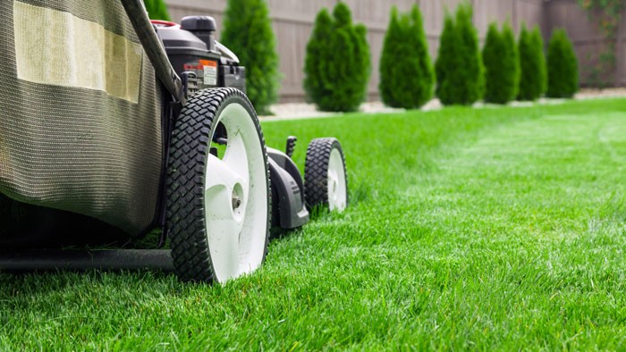 Lawn mowing and maintenance in New Braunfels